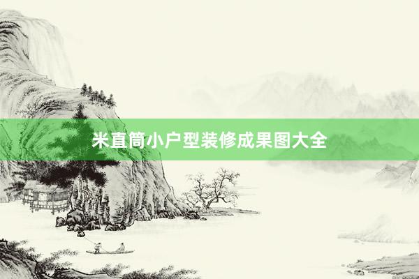 米直筒小户型装修成果图大全