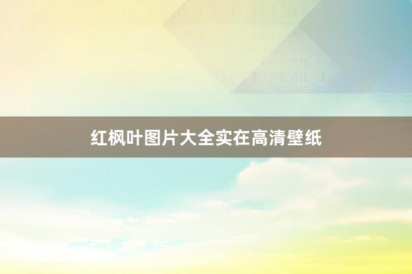 红枫叶图片大全实在高清壁纸